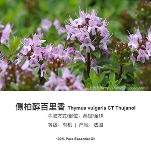 侧柏醇百里香精油