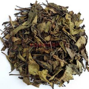 白叶单丛茶单从茶叶乌龙茶片茶头酒店饭店餐馆用茶包散装梅州蕉岭