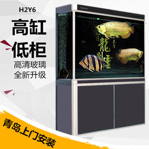 h2y6森森鱼缸