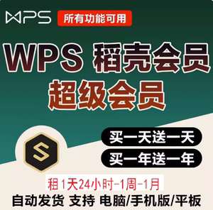 wps会员一日 WPS超级会一天24小时 WPS稻壳会员一小时 pro月卡1年