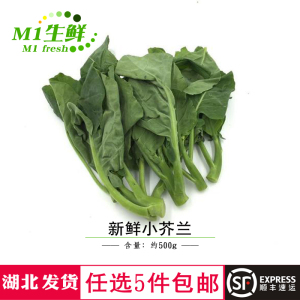 90tb066652175322淘宝新鲜精选广东小芥兰芥蓝现摘现发绿色无公害