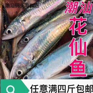 花仙鱼海捕花池鱼花胶鱼海鲜水产潮汕海鱼新鲜花娇鱼青花鱼青占鱼
