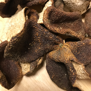 00117人付款淘宝日本料理 日式食品 雅食佳冷冻乌冬面 750克*10包