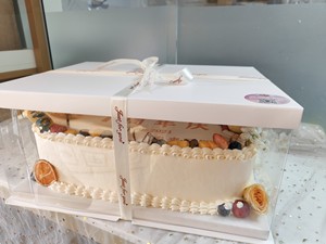 新款精品长方形蛋糕盒透明超大生日塑料16.18.20.24寸包装盒包邮