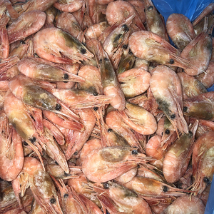 北极甜虾黑头虾头腹籽北极熊海鲜加拿大熟冻北极虾冰虾