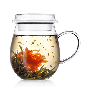 耐冷热高硼硅玻璃花草茶杯 不锈钢过滤内胆 硅胶茶隔款可选