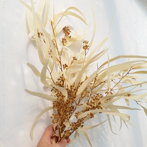 永生花叶干花小米果叶细长桉树叶尖叶尤加利果香柳叶插花家居拍照