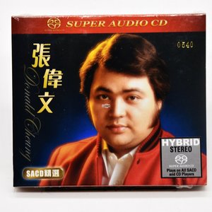 张伟文