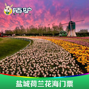 [荷兰花海-大门票]盐城大丰荷兰花海门票 荷兰花海
