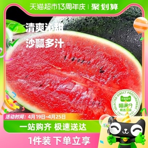【喵满分】黑美人西瓜6-8斤/个当季水果现摘新鲜红壤西瓜