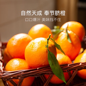奉节脐橙当季新鲜水果橙子柑橘时令甜橙整箱包邮农场直发
