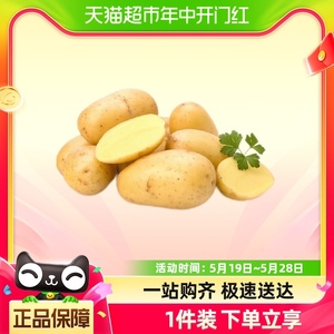 鲁韵忆乡山东黄心土豆2.5kg新鲜土豆马铃薯产地直发