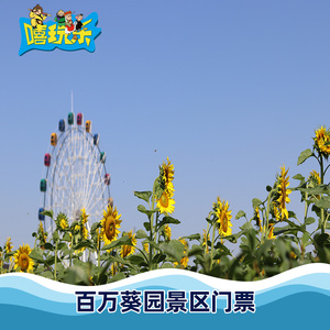 [百万葵园-大门票]广东 广州 百万葵园 大门票