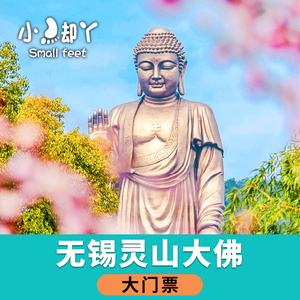 无锡灵山大佛门票