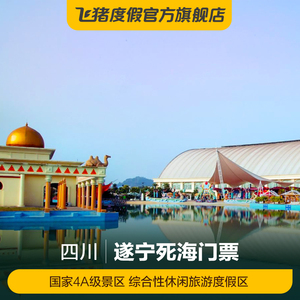 [中国死海旅游度假区-大门票]四川 遂宁 中国死海旅游度假区