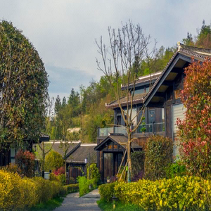贵州毕节大方百里杜鹃花舍锶锂温泉酒店1晚套餐/温泉泡汤
