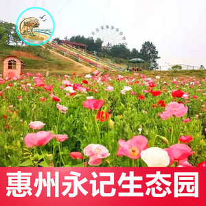 [永记生态园-大门票]惠州永济生态园成人儿童老人门票
