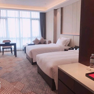 宝鸡奥斯顿酒店(高新区吉利工业园店)标准间