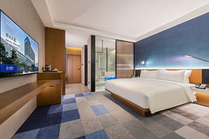 东莞松山湖高新诺富特酒店标准房大床