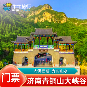 [齐鲁第一大佛青铜山大峡谷-大门票]青铜山大峡谷