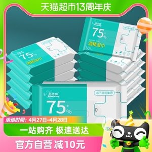 海氏海诺75%酒精消毒湿巾便携10片*10包医用杀菌家用湿纸巾学生