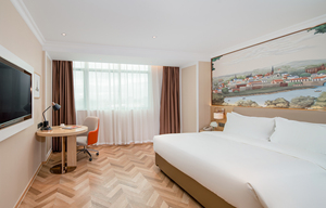 维也纳酒店（5.0广州太和中心广场太和物流园店）商务大床房