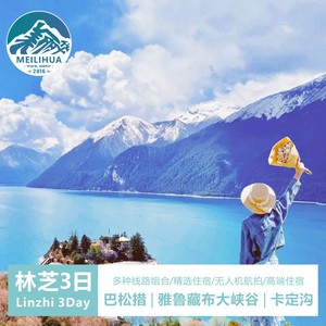 西藏旅游拉萨纯玩林芝三日大峡谷巴松措林海3天拼车跟团游