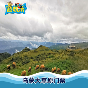[乌蒙大草原-大门票]贵州 六盘水 乌蒙大草原 大门票