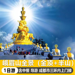 峨眉山景区入口处报国寺高铁站旅游观光车起点站复式跃层免…1人付款