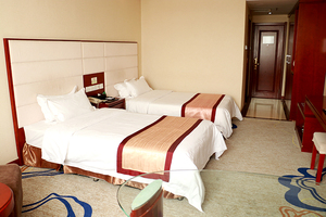 保定大午温泉度假村国际楼b座豪华标间