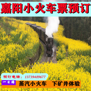 四川乐山犍为县嘉阳小火车门票车票桫椤湖跟团旅游景区观光车票