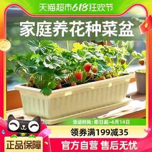 史丹利菜盆种植阳台家用蔬菜花园塑料种植箱屋顶户外露台室外花箱