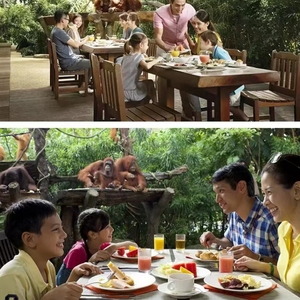 [新加坡动物园-野趣早餐（不含门票-限非泰国居民）]新加坡动物园餐券-与野生动物共进早餐