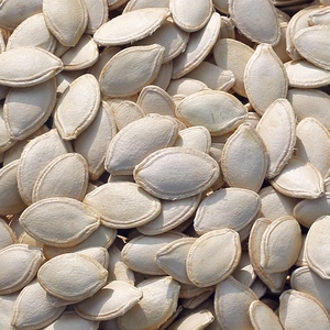 南瓜子生散装农家