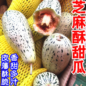 芝麻酥甜瓜新鲜5斤蛤蟆酥瓜 花皮香瓜 酥瓜脆瓜 花皮甜瓜怀旧瓜果