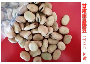 甘肃岷县生干蚕豆5斤大豆食用豆农家胡豆罗汉豆发芽大豆种子包邮