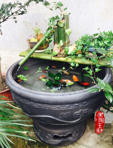 70cm莲花大鱼盆黑陶王瓦盆瓦缸金鱼盆金鱼缸荷花睡莲鱼盆陶土鱼缸