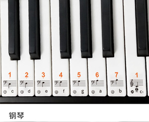 钢琴键贴纸彩色无残留五线谱音符88-61-49手卷钢琴电子琴通用