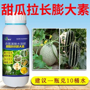甜瓜膨大素拉长剂 博洋黄金瓜香瓜羊角蜜专用增甜防酒心叶面肥料