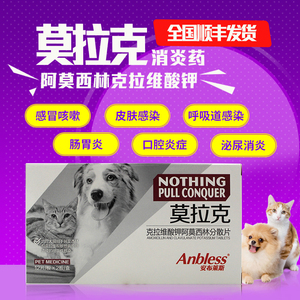 莫拉克狗狗消炎药猫阿莫西林克拉维酸钾片猫咪宠物感染皮肤病一板
