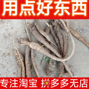 新鲜野生南沙参泡参下单现采挖贵州南沙参鸡腿参保鲜500克包邮