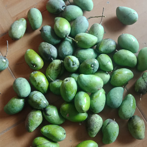 闽南土芒果泉州百年树福建小特香新鲜水果特价包邮孕妇超酸甜特级