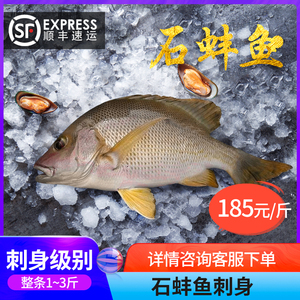 金石蚌刺身石蚌鱼星点笛鲷海钓鱼生片日本料理冰鲜海鱼清蒸一流鱼