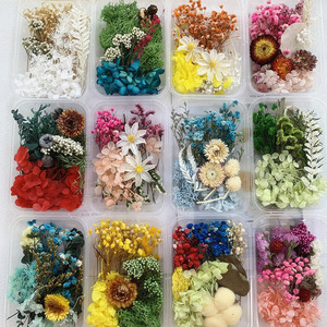 永生花材料包干花相框团扇画贺卡DIY手工创意装饰纯天然干花真花