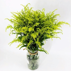 云南昆明基地直发黄英鲜花花束配草配叶混搭配花店婚庆水养花同城