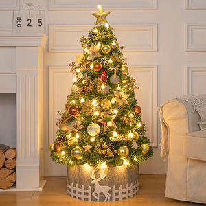 5米圣诞树摆件ins圣诞节圣诞树装饰套餐696人付款188.