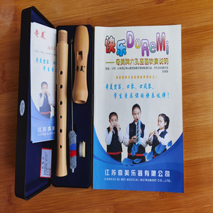 奇美六孔木质竖笛树脂盒包装 6孔木笛 学生儿童课堂乐器