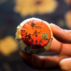 新会陈香老茶头小青柑8年陈易武熟普梅江茶叶500克礼盒江门生晒