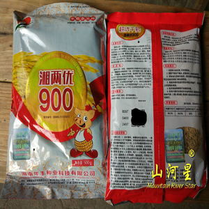 超级杂交水稻种子湘两优900 超优千号抗倒伏大米高产粮食中晚稻谷