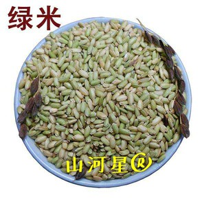 绿米绿色糯米黑壳自留常规稻谷种五彩大米水稻田画种子绿粳中晚稻